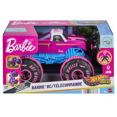 HOT WHEELS MONSTER TRUCKS RC Barbie džipas (JHW58)