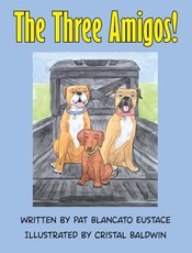 The Three Amigos!