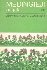 Medingieji augalai