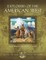 Explorers of the American West