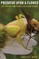 Predator Upon a Flower