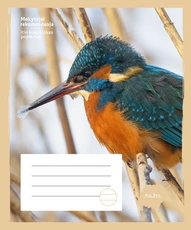 Sąsiuvinis „Tulžys“, 24 lapai, linijomis