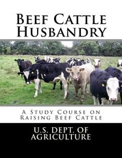 Beef Cattle Husbandry