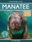 Manatee
