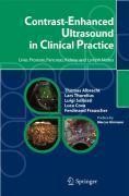Contrast-Enhanced Ultrasound in Clinical Practice