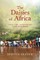 The Daisies of Africa
