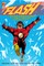 The Flash by William Messner Loebs and Greg Larocque Omnibus Vol. 1