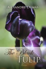 Black Tulip