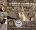 At Home with the Prairie Dog