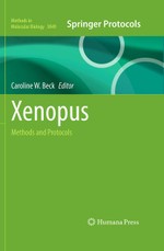 Xenopus