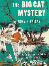 The Big Cat Mystery