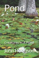 Pond
