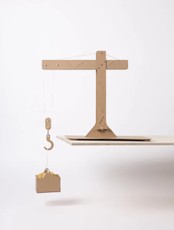 Krano surinkimo rinkinys „Newton's Lab“