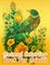 Animal Coloring Book For Adults