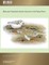 Molecular Population Genetic Structure in the Piping Plover