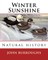 Winter Sunshine. By