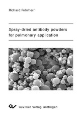 Spray-dried antibody powders for pulmonary application