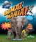 Animalmania!