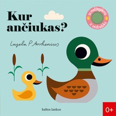 KUR ANČIUKAS? Su medžiagėlėmis ir veidroduku