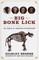 Big Bone Lick