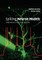 Spiking Neuron Models