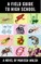 A Field Guide to High School