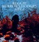 Reggie Burrows Hodges: Mela