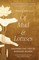 Of Mud and Lotuses