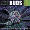 The Big Book of Buds (el. knyga)
