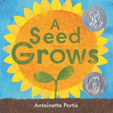 A Seed Grows