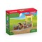 SCHLEICH FARM WORLD Ponių dėžutė su Islandijos puskraujų veislės žirgu