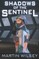 Shadows of the Sentinel