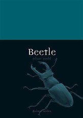Beetle
