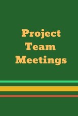 Project Team Meetings