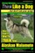 Alaskan Malamute, Alaskan Malamute Training AAA AKC