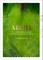 Aroha