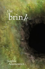 The Brink