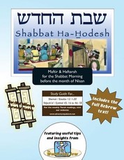 Bar/Bat Mitzvah Survival Guides