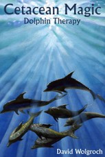 Cetacean Magic