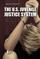 The U.S. Juvenile Justice System