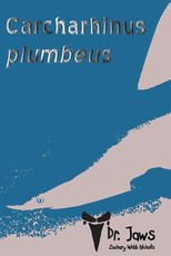Carcharhinus plumbeus
