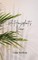 A Houseplant's View