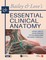 Bailey & Love's Essential Clinical Anatomy