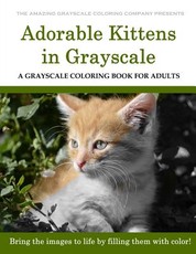 Adorable Kittens