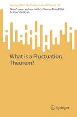 What is a Fluctuation Theorem?