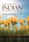 Wellness in Indian Festivals & Rituals