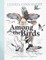 Among the Birds