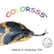 Colorsss