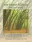 The Forest Flaneur