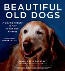 Beautiful Old Dogs